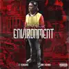 Enviroment - Single album lyrics, reviews, download