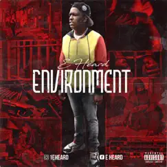 Enviroment - Single by E. Heard album reviews, ratings, credits