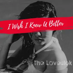 I Wish I Knew U Better Song Lyrics