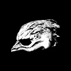 We Are the Seagullmen Song Lyrics