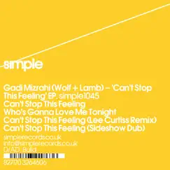 Can't Stop This Feeling (Lee Curtiss Remix) Song Lyrics