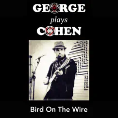 Bird on the Wire Song Lyrics