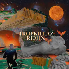 Goin' Home (Tropkillaz Remix) - Single by Sam i & Tropkillaz album reviews, ratings, credits