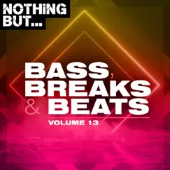 Nothing But... Bass, Breaks & Beats, Vol. 13 by Various Artists album reviews, ratings, credits