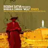 Wilile Remixes album lyrics, reviews, download