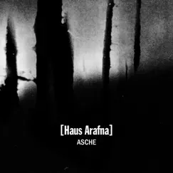 Asche by Haus Arafna album reviews, ratings, credits