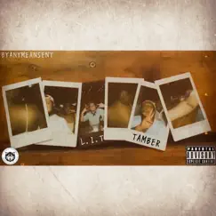 L.I.T - Single by Tamber album reviews, ratings, credits