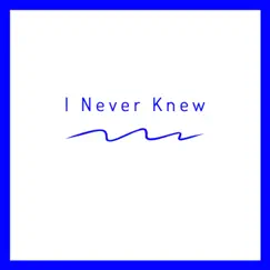 I Never Knew - Single by Marcus H Mitchell album reviews, ratings, credits