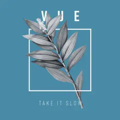 Take it Slow - Single by Vue album reviews, ratings, credits