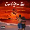 Can't You See - Single album lyrics, reviews, download