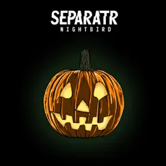 Nightbird - Single by Separatr album reviews, ratings, credits