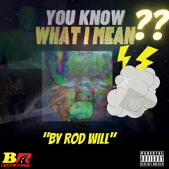 You Know What I Mean - Single by Rod Will album reviews, ratings, credits