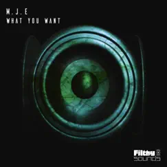 What You Want - Single by Mje album reviews, ratings, credits