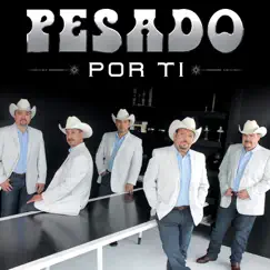 Por Ti by Pesado album reviews, ratings, credits