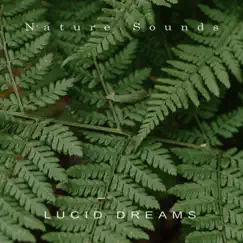 Lucid Dreams by Nature Sounds album reviews, ratings, credits