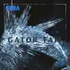 Gator Tail - Single album lyrics, reviews, download