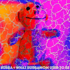 Bubbamom Lives on a Chimney Top Song Lyrics