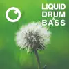 Liquid Drum & Bass Sessions 2021 Vol 41 album lyrics, reviews, download
