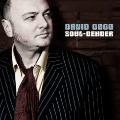 Soul Bender by David Gogo album reviews, ratings, credits