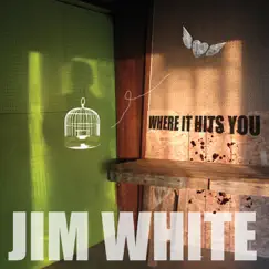 Where It Hits You by Jim White album reviews, ratings, credits