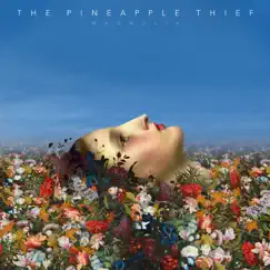 Magnolia (Deluxe Edition) by The Pineapple Thief album reviews, ratings, credits
