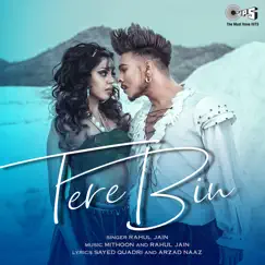 Tere Bin (Cover) - Single by Mithoon & Rahul Jain album reviews, ratings, credits