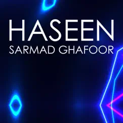 Haseen Song Lyrics