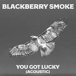 You Got Lucky (feat. Amanda Shires) [Acoustic Version] - Single by Blackberry Smoke album reviews, ratings, credits