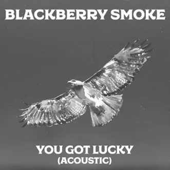 You Got Lucky (feat. Amanda Shires) [Acoustic Version] - Single by Blackberry Smoke album download