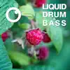 Liquid Drum & Bass Sessions 2020 Vol 13 album lyrics, reviews, download