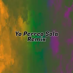 Yo Perreo Sola (feat. Los de la Nave, Mc Aash & Ribert Music) [Remix] Song Lyrics