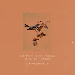 Don't Think Twice, It's All Right - Single by Clem Snide & Eef Barzelay album reviews, ratings, credits