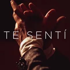 Te Sentí - Single by Juan Pablo Di Pace album reviews, ratings, credits