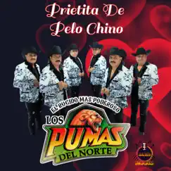 Prietita De Pelo Chino (EL RUGIDO MAS PODEROSO) - Single by Los Pumas del Norte album reviews, ratings, credits
