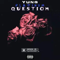 Question - Single by Yung Platinum album reviews, ratings, credits