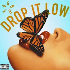 Drop It Low - Single by 66BBY album reviews, ratings, credits