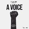 A Voice - Single album lyrics, reviews, download