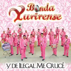 Y de Ilegal Me Crucé by Banda Yurirense album reviews, ratings, credits