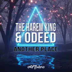 Another Place - Single by The Harem King & Odeed album reviews, ratings, credits
