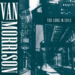 Too Long In Exile by Van Morrison album reviews, ratings, credits