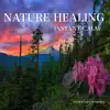 Nature Healing Instant Calm album lyrics, reviews, download