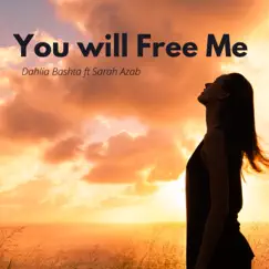 You Will Free Me (feat. Sarah Azab) Song Lyrics