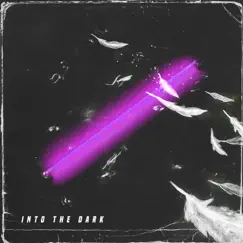 Into the Dark - Single by CRWELL album reviews, ratings, credits