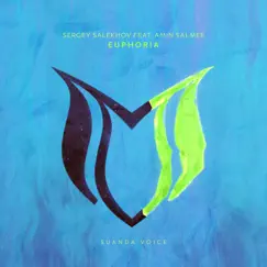 Euphoria (feat. Amin Salmee) - Single by Sergey Salekhov album reviews, ratings, credits