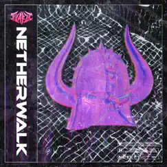Netherwalk - Single by Flakzz album reviews, ratings, credits