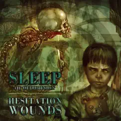 Hesitation Wounds Song Lyrics