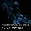 On a Slow Fire - Single album lyrics, reviews, download