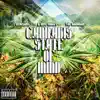 Cannabis State of Mind (feat. Bboy Fidget & the BadMan) - Single album lyrics, reviews, download