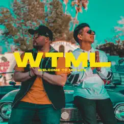 WTML (feat. A2C) - Single by Armando Don album reviews, ratings, credits
