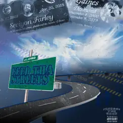Feed Tha Streets by Lil Johno album reviews, ratings, credits